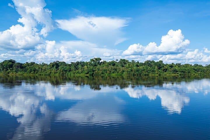 Amazon Rainforest Wonders: Private Shore Tour from Iquitos photo 6