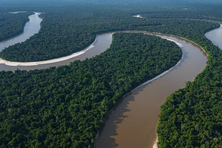 Amazon Rainforest Wonders: Private Shore Tour from Iquitos photo 5