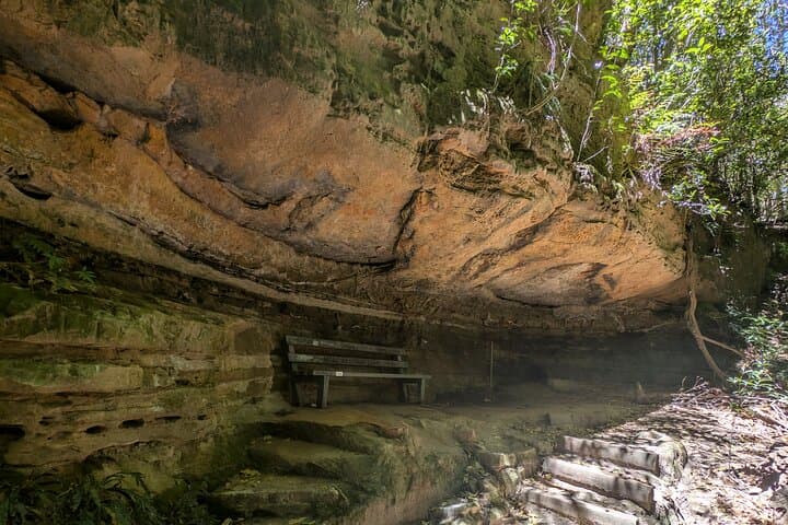 Blue Mountains Day Tour from Sydney: ScenicWorld or Guided Bushwalk with Koalas (Small Group) photo 3