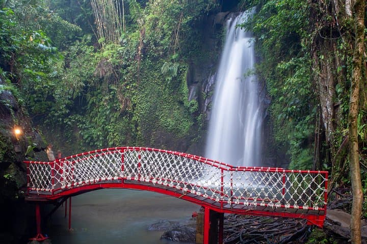 Ubud Highlight Private Tour: Rice Terraces, Temples & Monkey Forest Day Trip photo 2