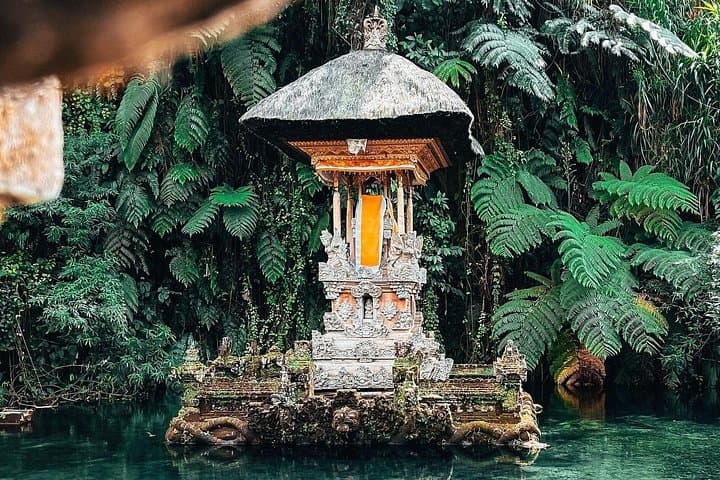 Ubud Highlight Private Tour: Rice Terraces, Temples & Monkey Forest Day Trip photo 4
