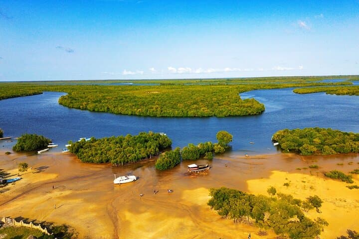 Funzi Island Day Tour: Mangroves, Birding & Sandbank Swim from Diani photo 3