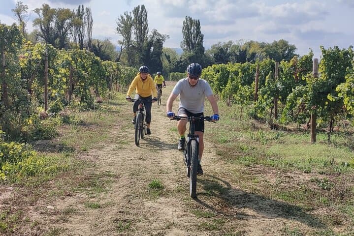 Valencian Tuscany by Bike: Guided Wine Tasting & Vineyard Ride from Valencia photo 2