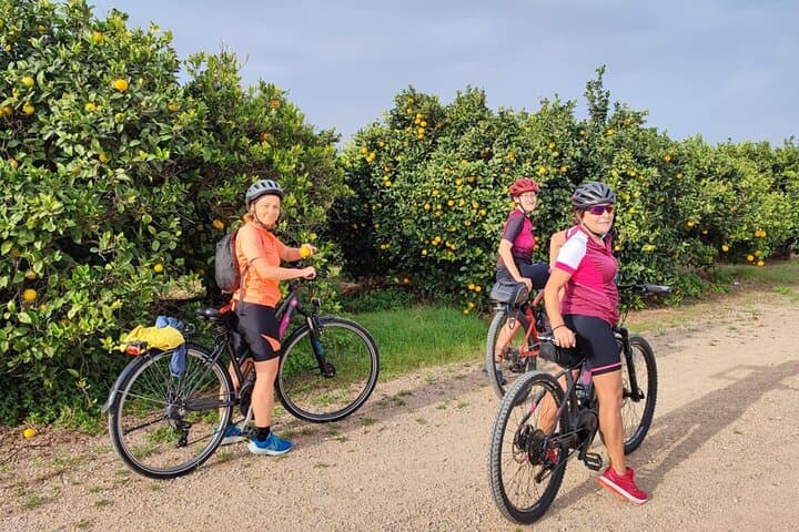 Valencian Tuscany by Bike: Guided Wine Tasting & Vineyard Ride from Valencia photo 4