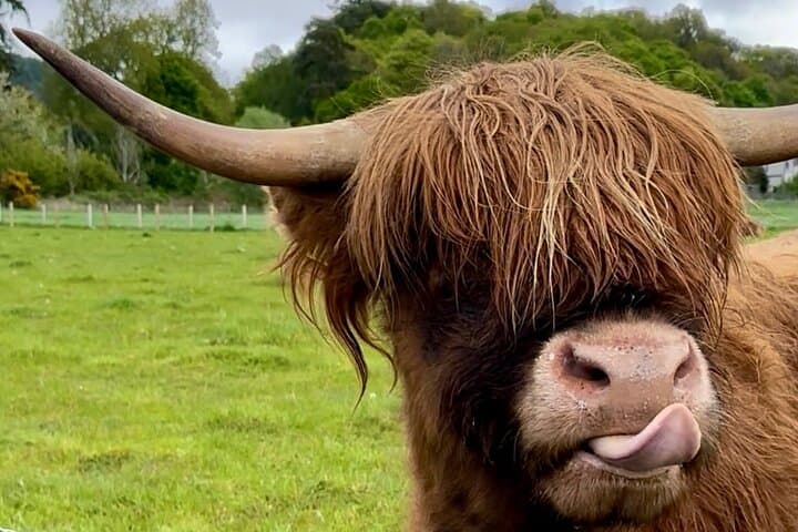 Highland Highlights Shore Tour from Invergordon — Cawdor, Culloden & Loch Ness photo 1