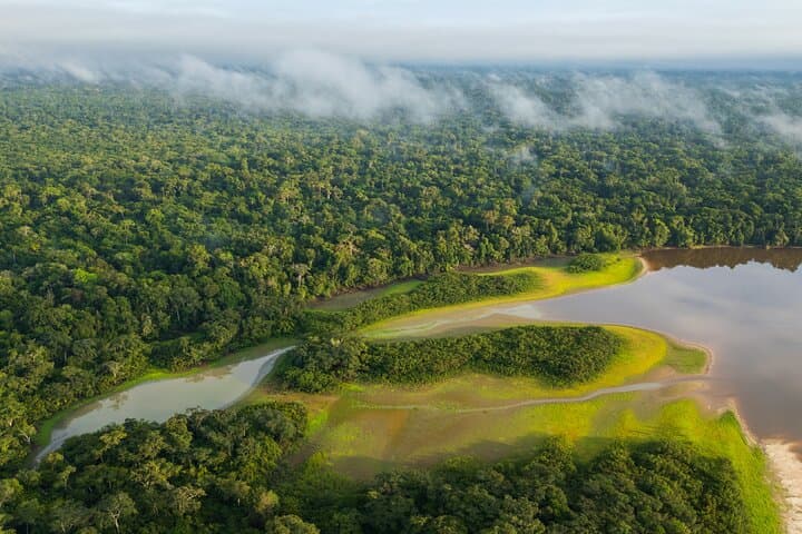 Amazon Rainforest Wonders: Private Shore Tour from Iquitos photo 2