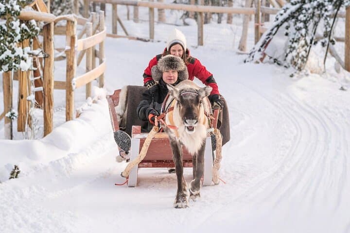 Rovaniemi Reindeer Safari: 2.5 km Sled Ride at a 200-Year-Old Farm photo 1