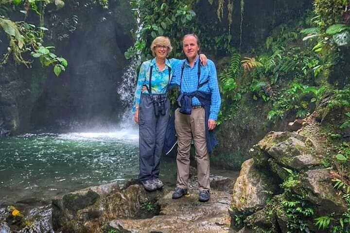 Full-Day Mindo Butterfly Garden & Cloud Forest — Hummingbirds, Waterfalls and Chocolate photo 4