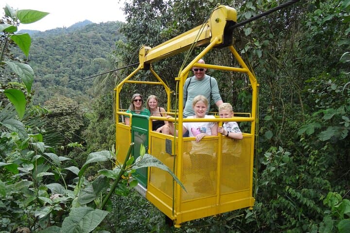 Full-Day Mindo Cloud Forest Tour: Birdwatching, Butterfly Garden & Local Lunch