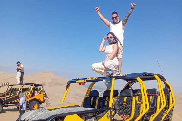 Paracas, Ballestas & Huacachina: Dunes, Boat Wildlife and Pisco Day Tour from Lima