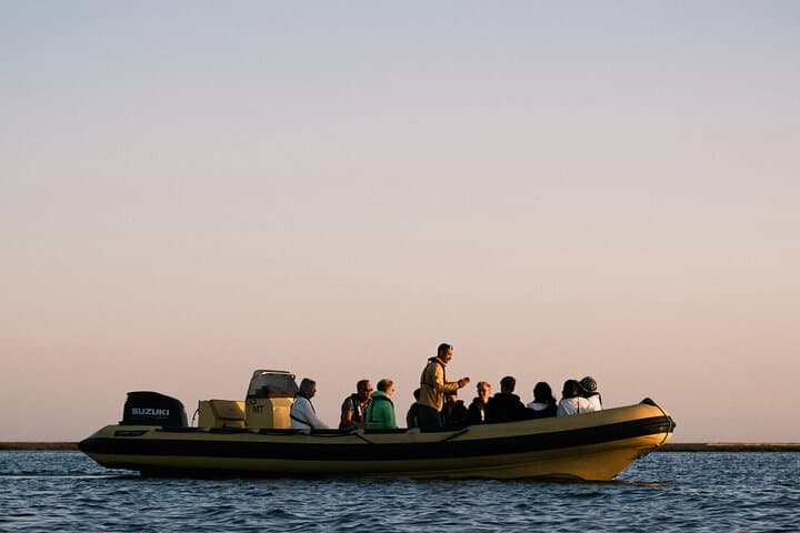 Sunset Boat Tour to Ilha Deserta in Ria Formosa (Faro)