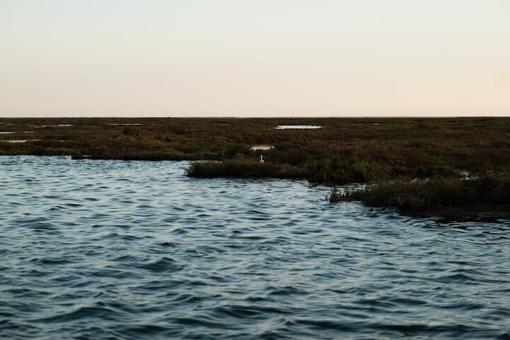 Sunset Boat Tour to Ilha Deserta in Ria Formosa (Faro) photo 6