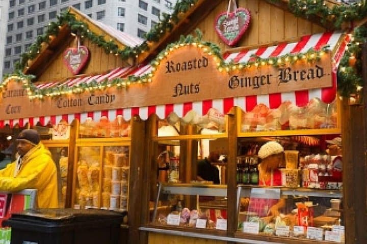 Chicago Holiday Hike: Millennium Park Festive Food & Walking Tour photo 1