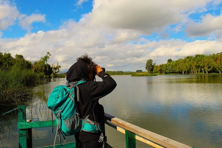 Bird Watching Bogota Wetlands: Guided Tour of Jaboque, La Florida & Reserve photo 2