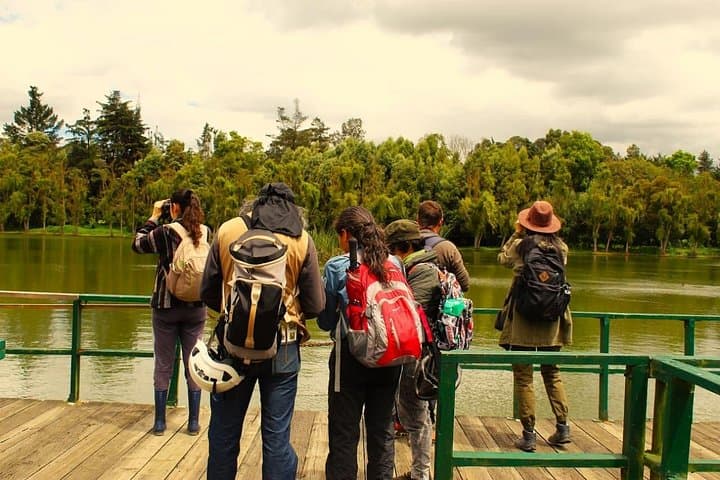 Bird Watching Bogota Wetlands: Guided Tour of Jaboque, La Florida & Reserve photo 4