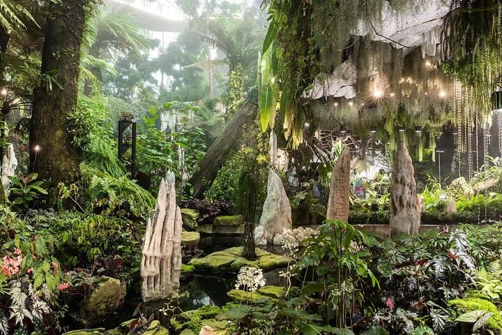 Gardens by the Bay Flower Dome & Cloud Forest: Singapore Conservatory Entry photo 4