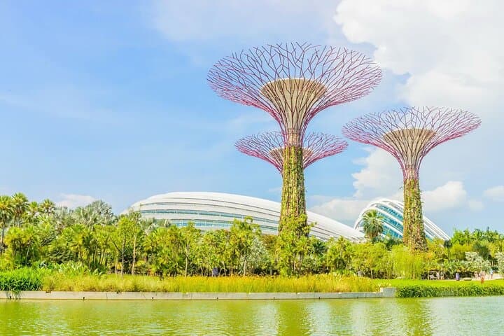 Gardens by the Bay Flower Dome & Cloud Forest: Singapore Conservatory Entry photo 6