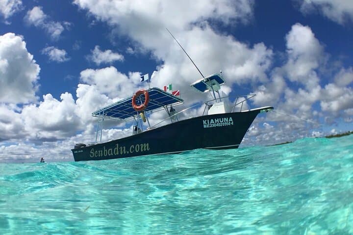 Snorkeling Cozumel: San Clemente, Palancar Gardens & El Cielo 3-Stop Tour