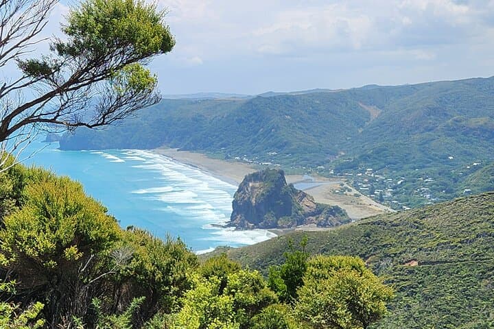Private Auckland Day Tour: Piha Beach, Rainforest & City Highlights