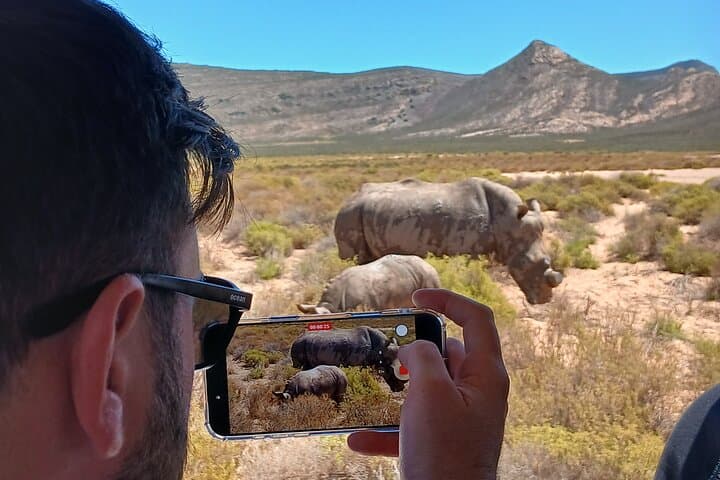 Cape Town Big 5 Sunset Safari at Aquila Game Reserve with Wine Tasting photo 1