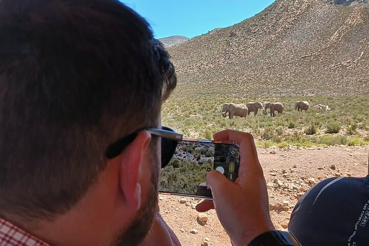 Cape Town Big 5 Sunset Safari at Aquila Game Reserve with Wine Tasting photo 4