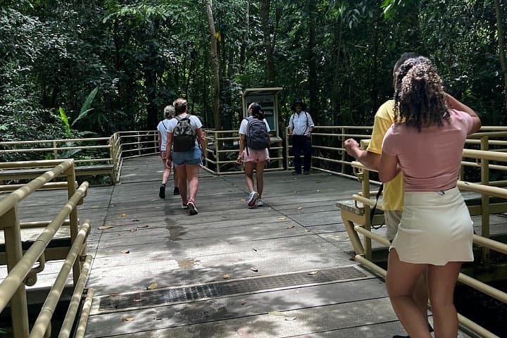 Manuel Antonio National Park Day Trip from San José — Beach, Wildlife & Rainforest photo 3