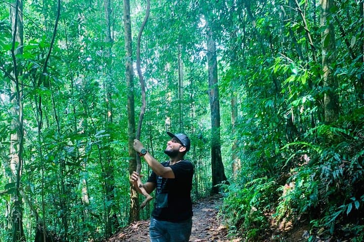 Sinharaja Rain Forest Guided Day Tour — Endemic Birds, Waterfalls & River Baths photo 5