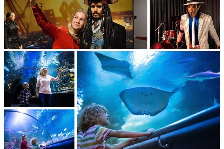 Antalya Aquarium Visitor Guide — Walk the 131-Meter Tunnel Aquarium