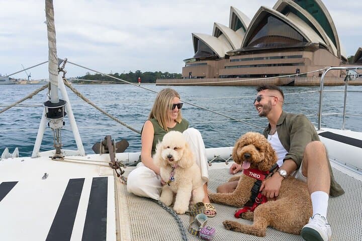 Dogs on Deck: 1‑Hour Sydney Harbour Catamaran Cruise with Your Dog photo 2