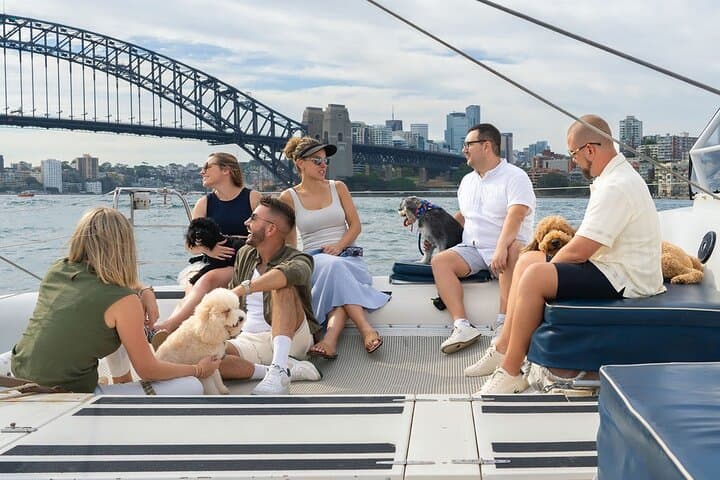 Dogs on Deck: 1‑Hour Sydney Harbour Catamaran Cruise with Your Dog photo 5