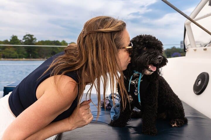 Dogs on Deck: 1‑Hour Sydney Harbour Catamaran Cruise with Your Dog photo 4