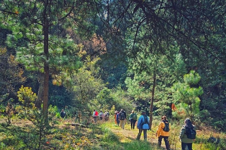 Iztaccihuatl Legends & Nature: Bubble Waterfall Hike from Amecameca photo 6