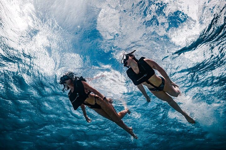 Aruba Morning Snorkel Sail: Champagne Brunch, Shipwreck Snorkel & Coral Reefs photo 2