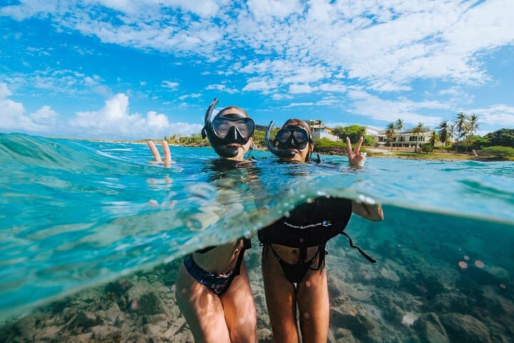 Turtle Spotting Snorkel: Malmok to Tres Trapi — Aruba's Gentle Turtle Corridor photo 5