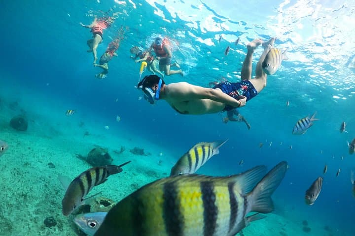 Glass-Bottom Boat & Snorkel Tour on Cozumel's Barrier Reef photo 2