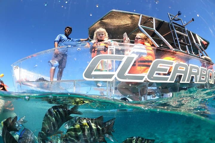 Glass-Bottom Boat & Snorkel Tour on Cozumel's Barrier Reef photo 3