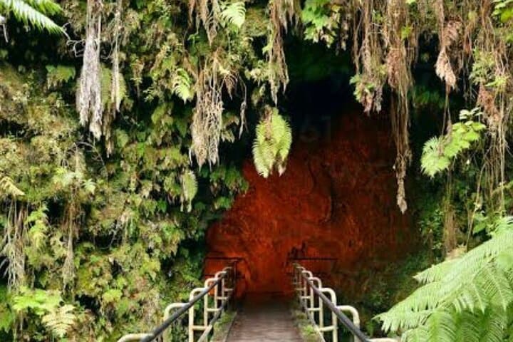 Hilo Shore Excursion: Volcano, Waterfall & Black Sand Beach with Lunch photo 4