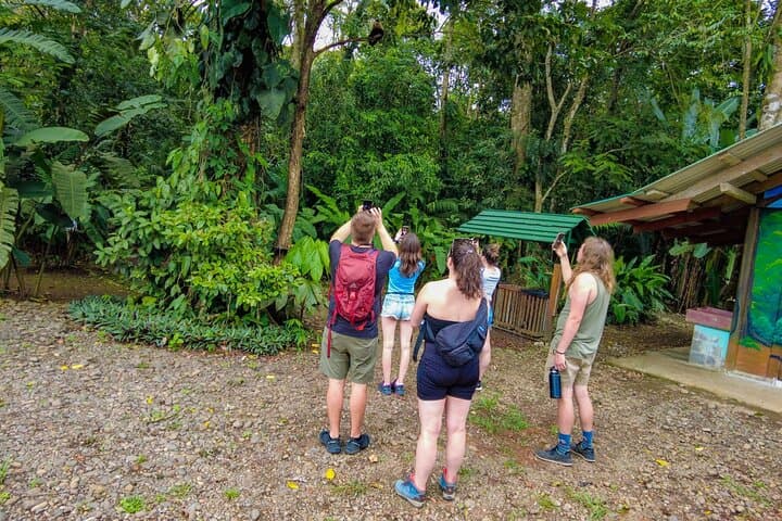 La Fortuna Self-Guided Rainforest Hike at Monkey Park — Wildlife Walk & Local Snack photo 6