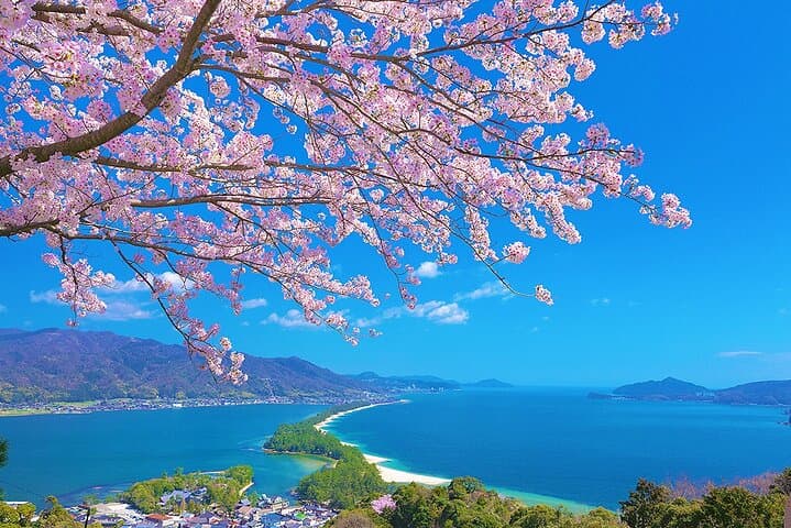 Amanohashidate & Ine Day Trip: Sandbar Views, Funaya Cruise and Hot Springs from Osaka or Kyoto photo 4