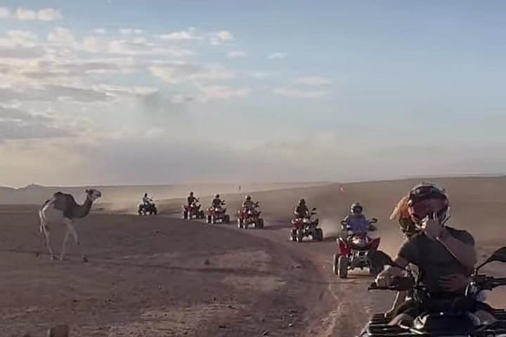 Quad Adventure to Ait Ben Haddou Kasbah — 1-Hour Desert Ride from Ouarzazate photo 4