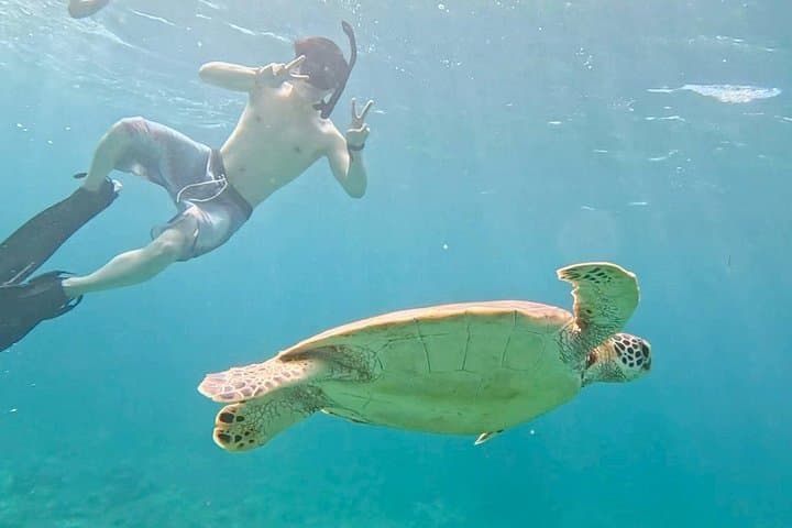 Ishigaki Island Snorkeling: Coral Gardens and Mackerel Shoals photo 1
