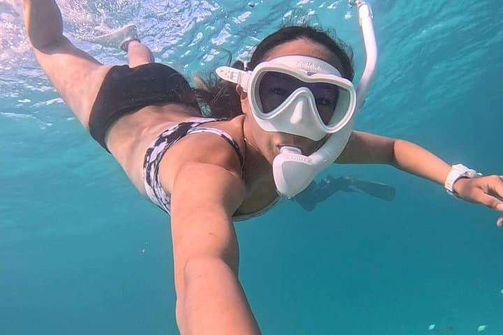 Ishigaki Island Snorkeling: Coral Gardens and Mackerel Shoals photo 3