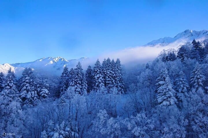 Shin-Hotaka Ropeway & Hida Great Stalactite Cave: Double-Decker Cable Car to the Northern Alps photo 4