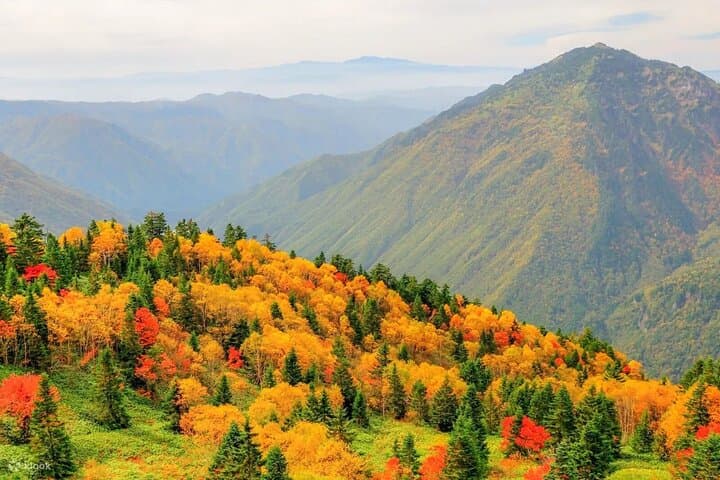 Shin-Hotaka Ropeway & Hida Great Stalactite Cave: Double-Decker Cable Car to the Northern Alps photo 5