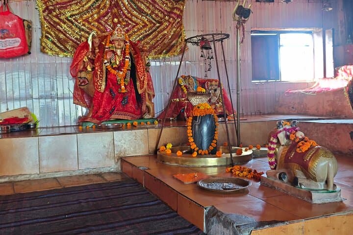Gohri Range Hike to Vindhyawasini Temple — Rajaji National Park Day Trek from Rishikesh photo 4