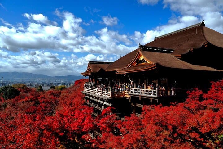 Full-Day Kyoto & Arashiyama Tour from Osaka: Katsuo-ji, Kiyomizu-dera, Bamboo Grove & Matcha photo 2