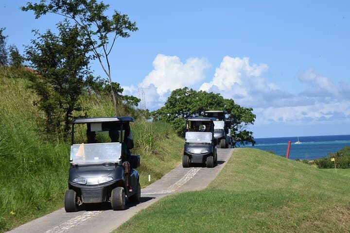 Roatán 4-in-1 Zipline, Golf Cart & Beach Club Adventure with Sloths photo 2