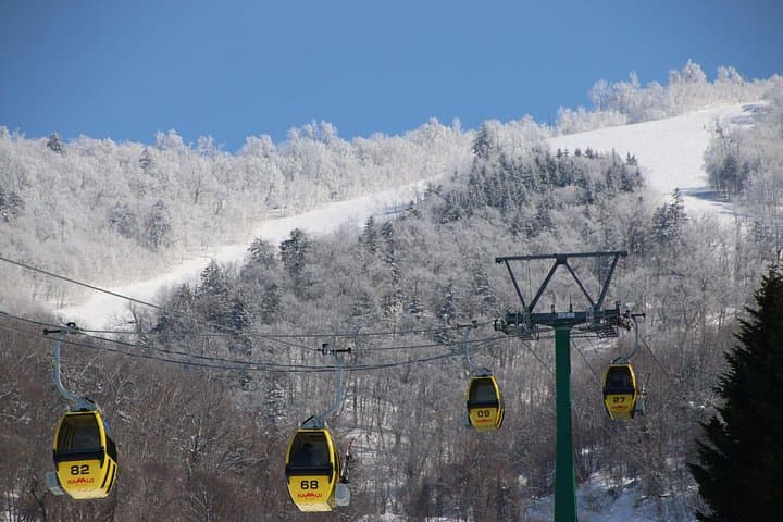 Private Ski Lesson at Kamui Ski Links — Hokkaido Powder near Asahikawa photo 3