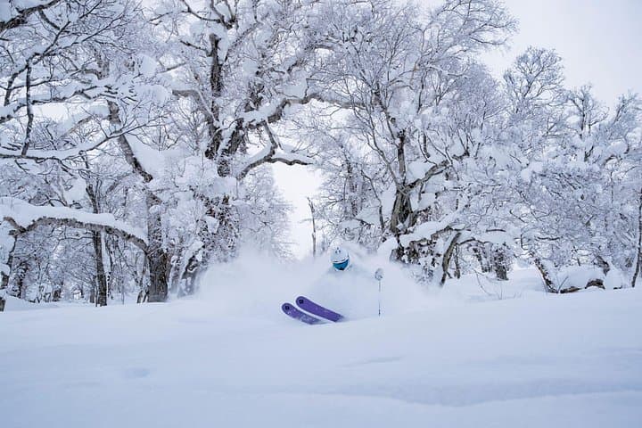 Private Ski Lesson at Kamui Ski Links — Hokkaido Powder near Asahikawa photo 4