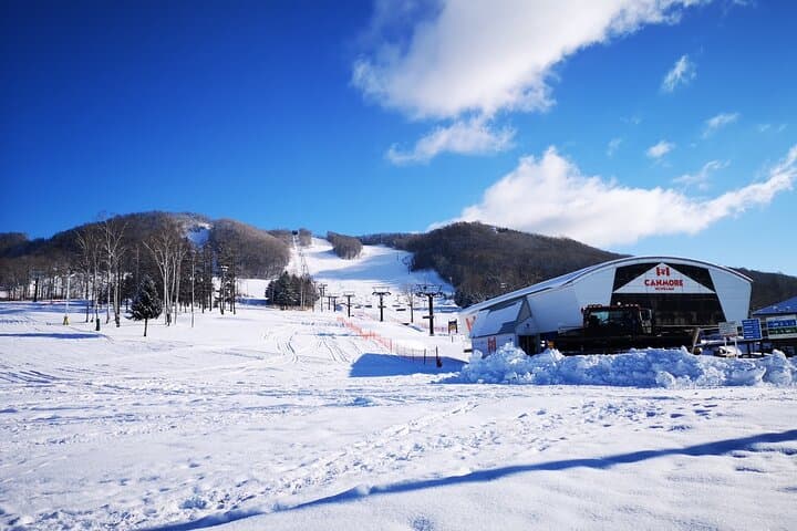 First Ski Experience in Higashikawa — Beginner One-Day Lesson from Asahikawa photo 6